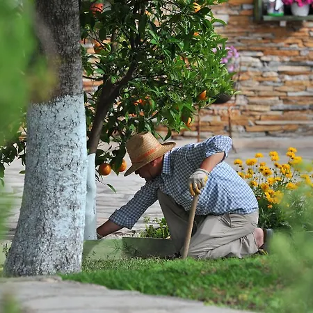 Orman Evi Grenadine Dalyan