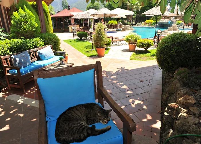 Grenadine * דליאן