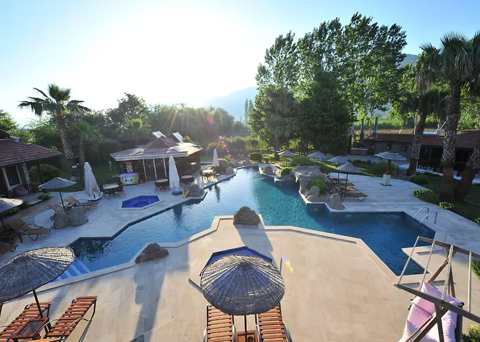 Grenadine * דליאן