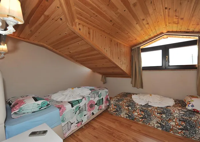 Grenadine אכסניה