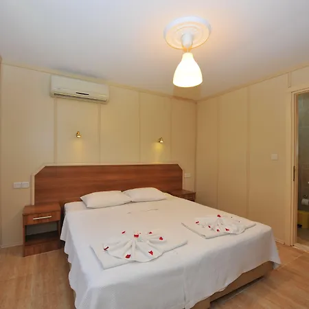 Grenadine ダルヤン