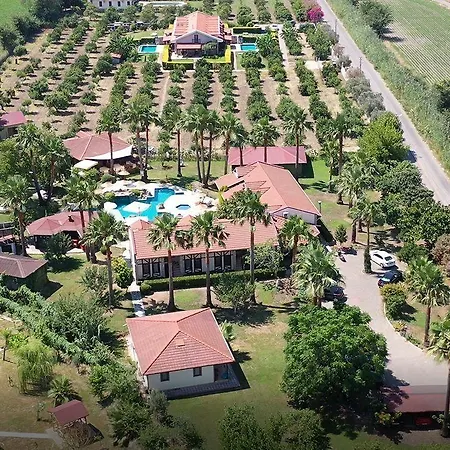 Grenadine ダルヤン