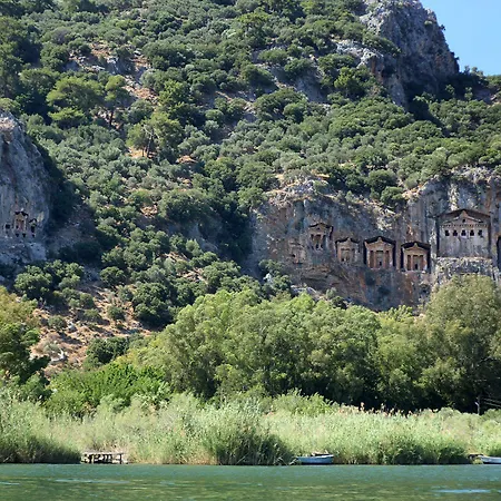 Grenadine ダルヤン