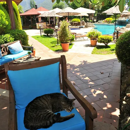 Grenadine Lodge