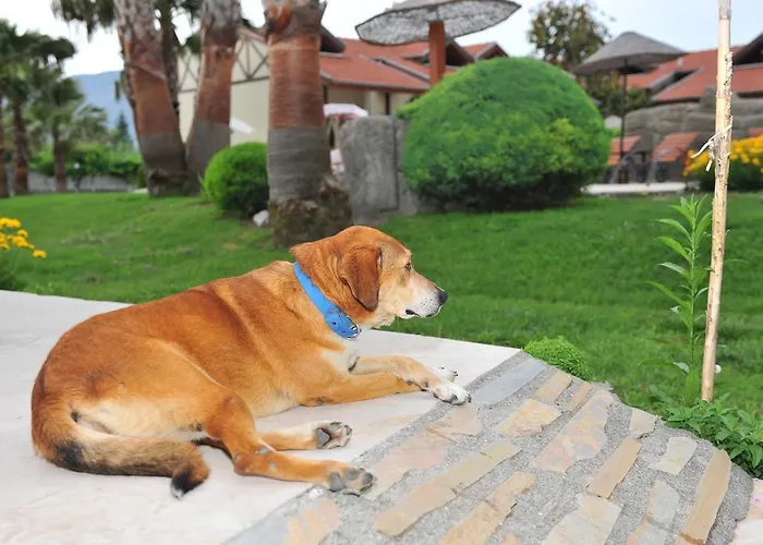 Grenadine 山林小屋