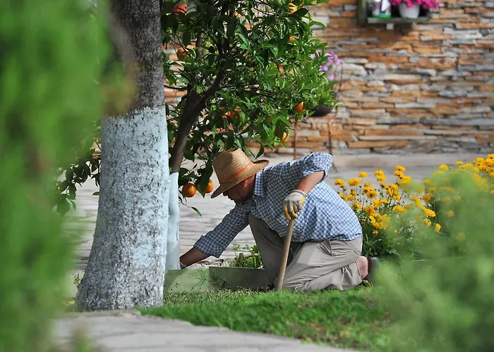 山林小屋 Grenadine 达利安