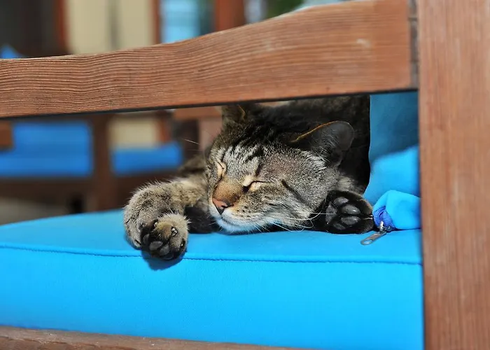 Grenadine Деревянный коттедж Дальян